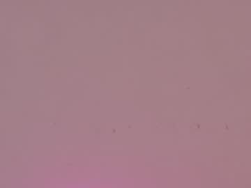 cam girl porn shycinderella image #780429