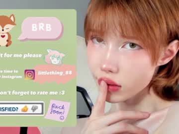 cam girl porn littlething88 image #516496
