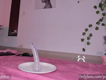 cam girl porn pamela_velez image #4885773