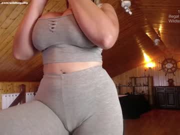 cam girl porn wildtequilla image #1819634