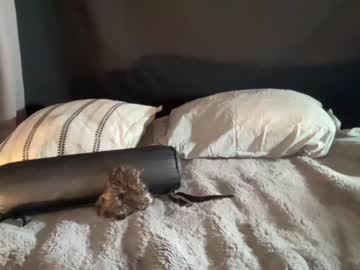 cam girl porn kaileeshy image #3193084