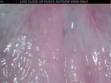 cam girl porn adulting image #990644