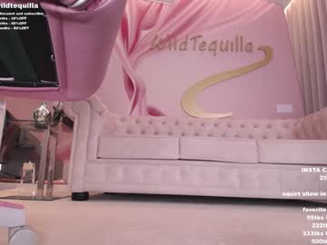 cam girl porn wildtequilla image #3713823