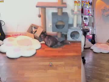 cam girl porn _biscuitty image #2724910