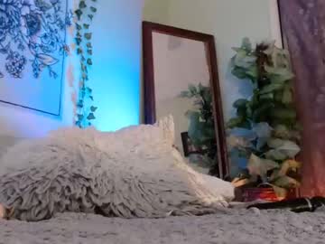 Cam for pennypixie