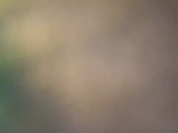 cam man porn ntowl image #5447970