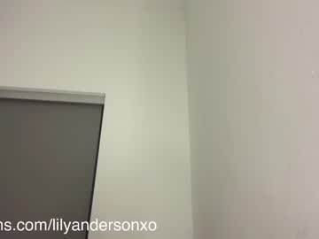 cam girl porn anderson_lily image #6526772