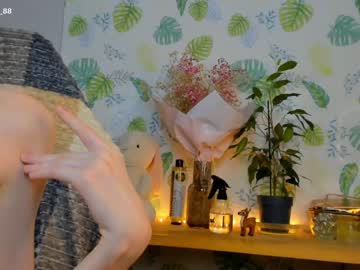 cam girl porn littlething88 image #533518