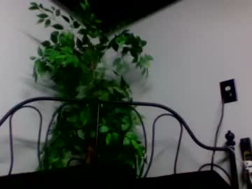 cam couple porn beeishungry image #6090842