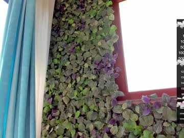 cam girl porn sassyt33n image #2104807