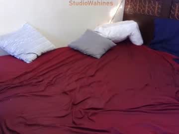 cam couple porn studiowahines image #6214048