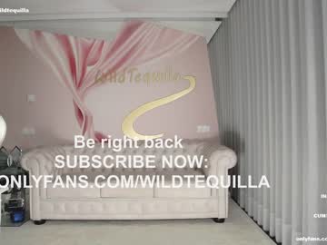 cam girl porn wildtequilla image #4948915