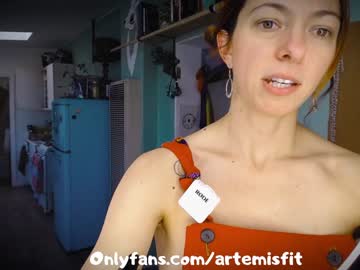 cam girl porn artemisfit image #1425102