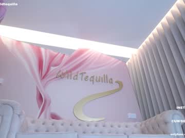 cam girl porn wildtequilla image #4599863