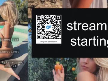 cam girl porn ocicat image #6414402