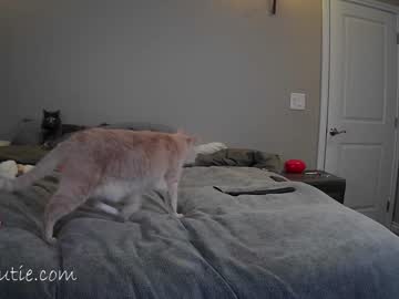 cam girl porn _shycutie image #6900752