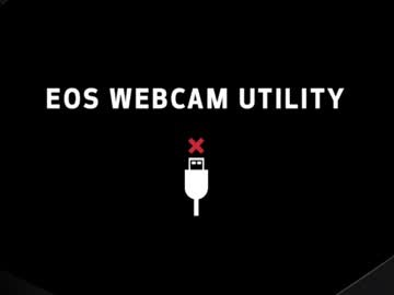 cam girl porn wendy_daniela image #5587515