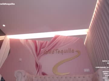 cam girl porn wildtequilla image #3234297