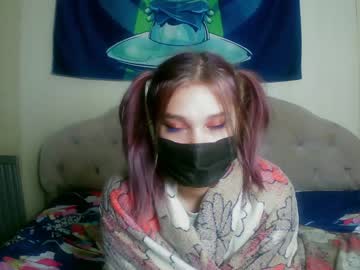 Cam for martcats