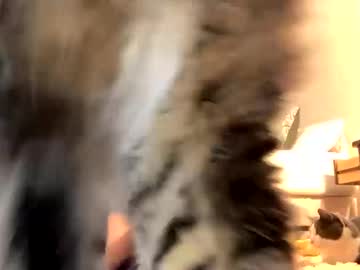 cam girl porn cloutqueenslay2 image #7030411