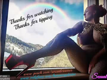 cam girl porn sexual_essence image #361658