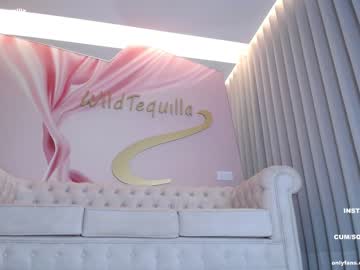 cam girl porn wildtequilla image #4813087
