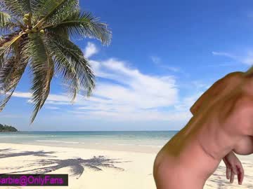 cam girl porn wildwifebarbie image #4405253