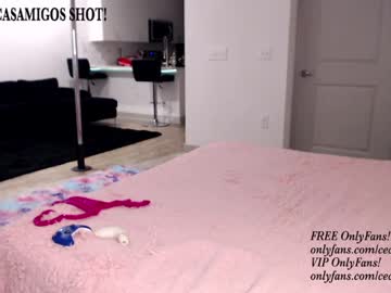 cam girl porn princess_cece image #3923694
