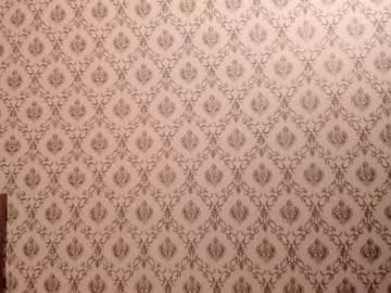 cam girl porn amandamedrano image #2924291