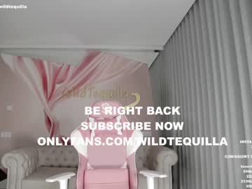 cam girl porn wildtequilla image #3025363