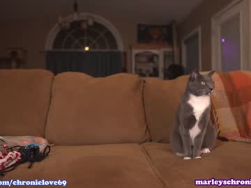 cam girl porn chroniclove image #5675467