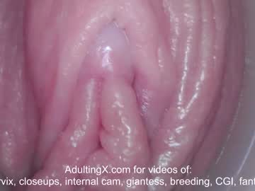 cam girl porn adulting image #595955