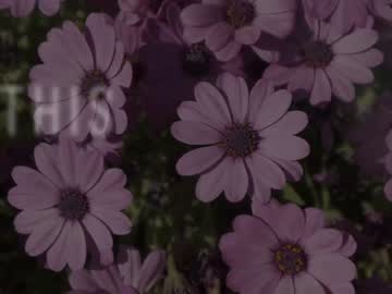 cam girl porn lana_kane_ image #6939935