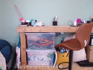cam girl porn artemisfit image #1051805
