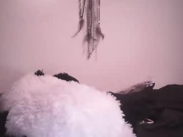 cam girl porn dixilanddelight0227 image #3322649