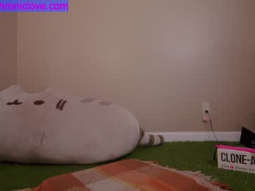 cam girl porn chroniclove image #2308966