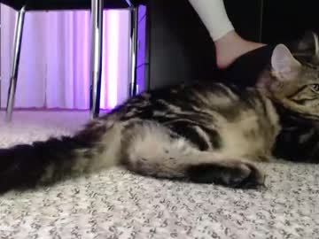 cam girl porn kerelai image #3561623
