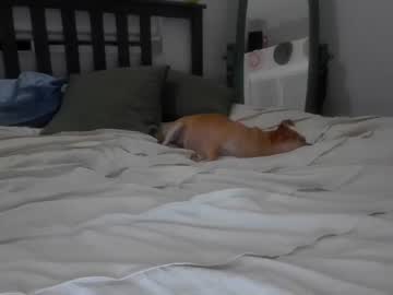 cam girl porn randy699669 image #5640261