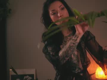 cam girl porn ambientink image #2519016