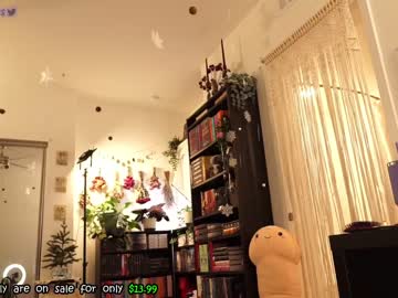 cam girl porn evelynpiers image #6069009