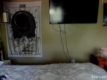 cam tranny porn freyasirensong image #2372542
