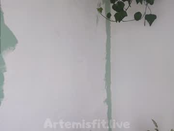 cam girl porn artemisfit image #606016