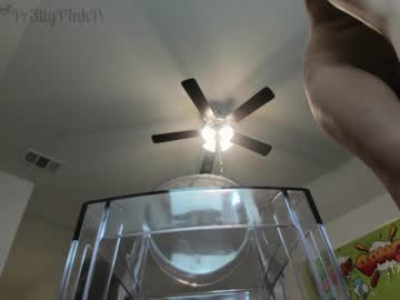cam girl porn pr3ttyp1nkpussy image #451041