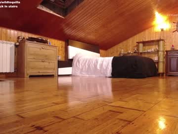 cam girl porn wildtequilla image #1059269