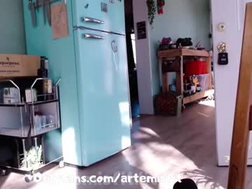 cam girl porn artemisfit image #936500