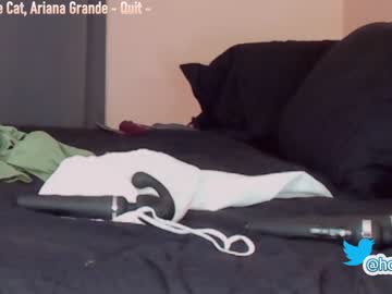 cam girl porn hollyextra image #2286840