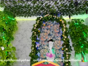 cam girl porn amelia__williams image #1458979