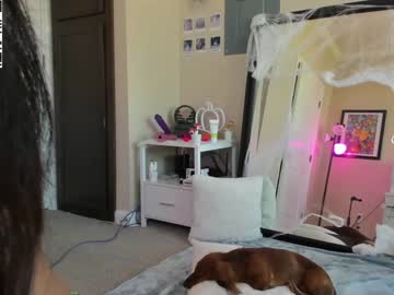cam girl porn violetttflowers image #2823880