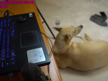 cam girl porn 19honeysuckle image #3427907