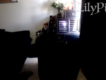 cam girl porn lilypixel image #1511825